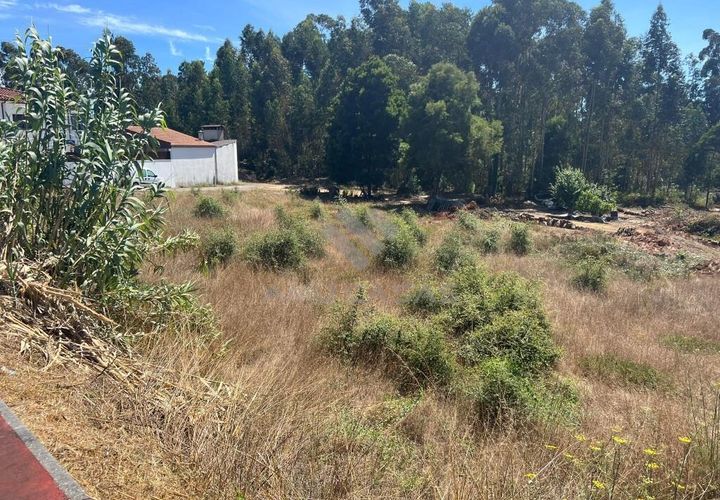 Helårsgrund i Anadia, Aveiro, Anadia - € 120.000 | Ref: LP11072023 - foto 1
