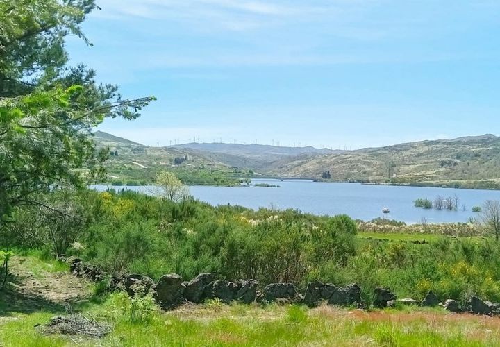 Terra a Bigorne, Viseu, Bigorne - € 90.000 | Ref: LMG_3924 - N - foto 1