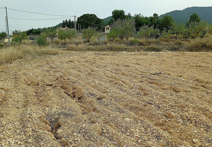 Terra a Monovar, Alicante, Monovar - € 65.000 | Ref: IVD13739 - foto 1