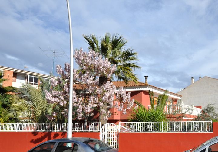 Villa i Sax, Alicante, Sax - € 450.000 | Ref: MTP3900 - foto 1