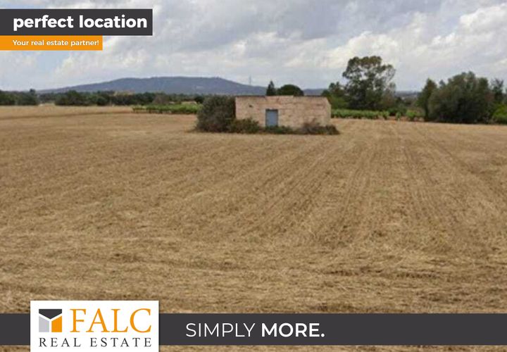Terra a Manacor, Mallorca, Manacor - € 200.000 | Ref: FALC-AdFl-62153 - foto 1