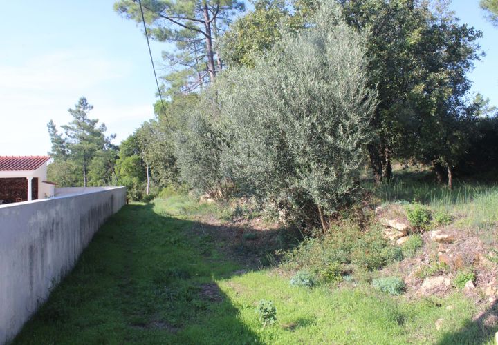 Helårsgrund i Coimbra, Coimbra, Coimbra - € 67.500 | Ref: CB05-01 - foto 1