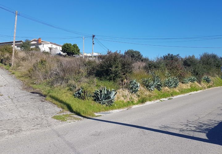 Helårsgrund i Coimbra, Coimbra, Coimbra - € 165.000 | Ref: CB05-21 - foto 1