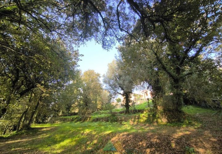 Helårsgrund i Amares, Braga, Amares - € 45.000 | Ref: AVV-005-021 - foto 1