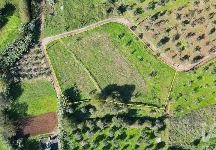 Terra a Penela, Coimbra, Penela - € 15.000 | Ref: 131140 - foto 1