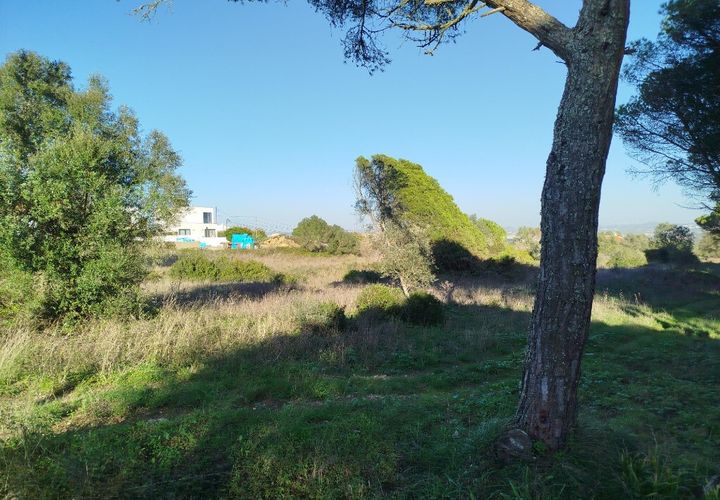 Helårsgrund i Sintra, Lisbon, Sintra - € 450.000 | Ref: ptm4386 - foto 1
