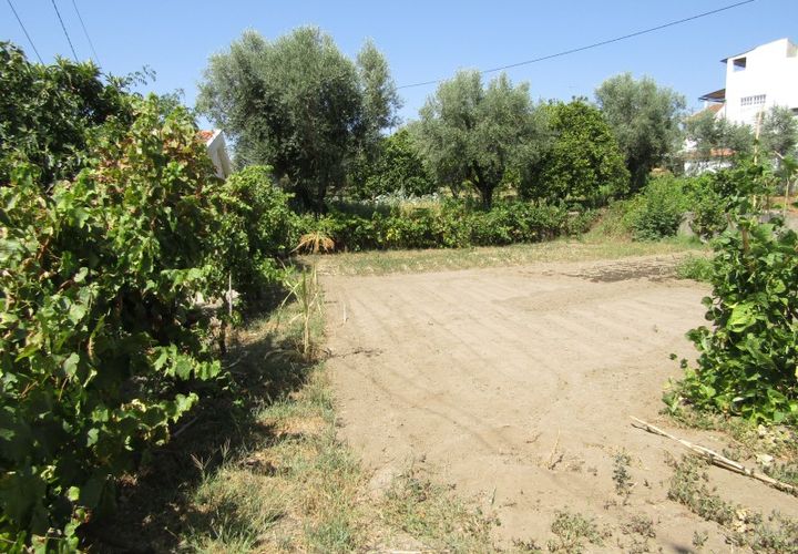 Helårsgrund i Sardoal, Santarem, Sardoal - € 23.000 | Ref: P24-212 - foto 1