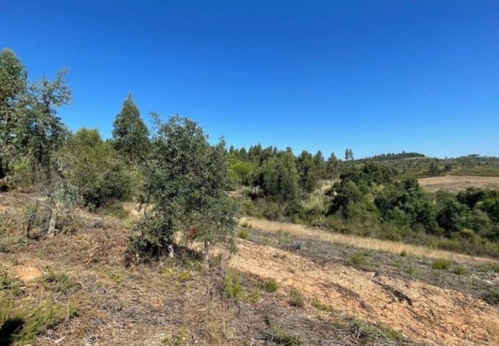 Działka: Abrantes, Santarem, Abrantes – 28 500 € | Ref: P22-125 – zdjęcie 1