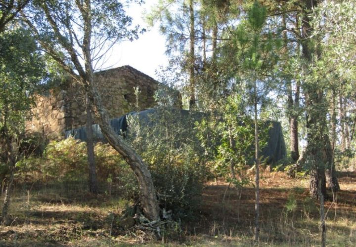 Helårsgrund i Mouriscas, Santarem, Mouriscas - € 29.900 | Ref: P22-133 - foto 1