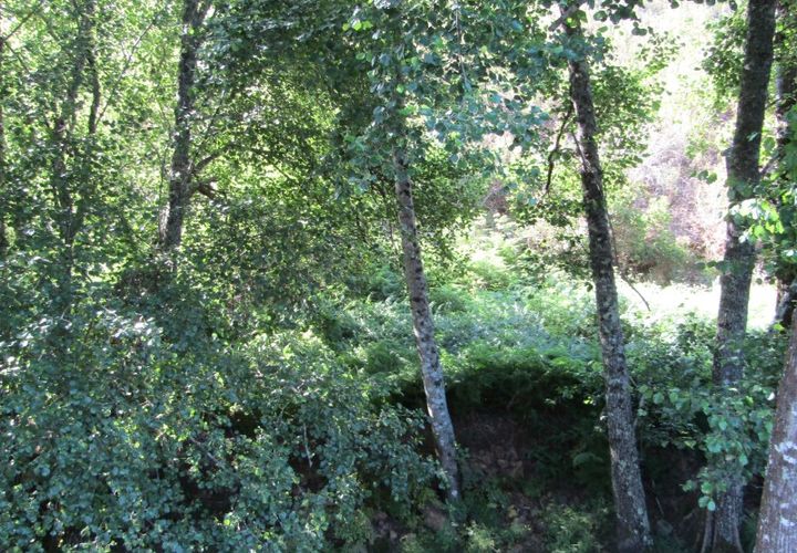 Helårsgrund i Sardoal, Santarem, Sardoal - € 39.900 | Ref: P22-168 - foto 1