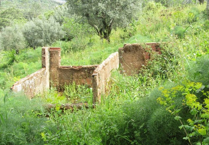 Helårsgrund i Tomar, Santarem, Tomar - € 52.500 | Ref: P24-200 - foto 1