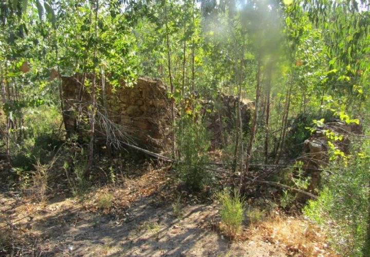Helårsgrund i Sardoal, Santarem, Sardoal - € 14.500 | Ref: P22-119 - foto 1
