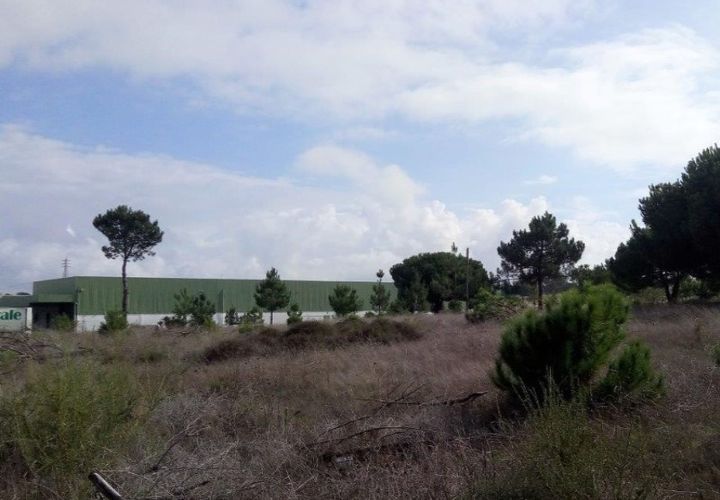 Erhvervsejendom i Ermidas do Sado, Setubal, Ermidas do Sado - € 390.000 | Ref: TER_4 - foto 1