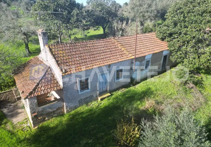 Landejendom i Tomar, Santarem, Tomar - € 250.000 | Ref: 828/19 - foto 1