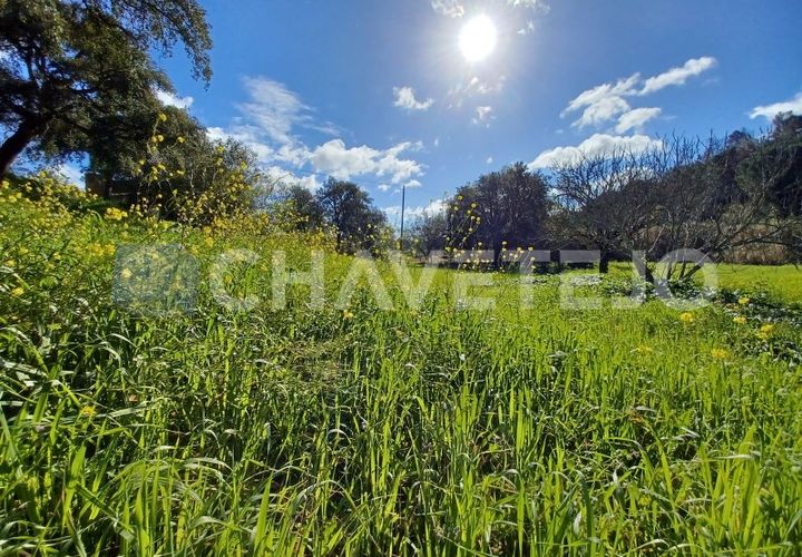 Helårsgrund i Tomar, Santarem, Tomar - € 9.000 | Ref: 606/24 - foto 1