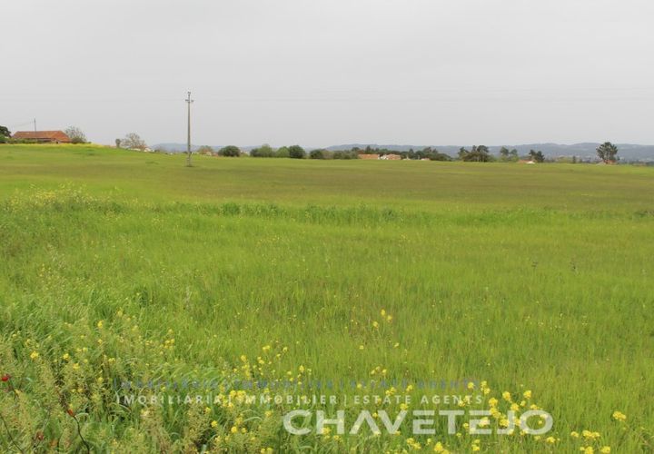 Terra a Tomar, Santarem, Tomar - € 130.000 | Ref: 604/21 - foto 1
