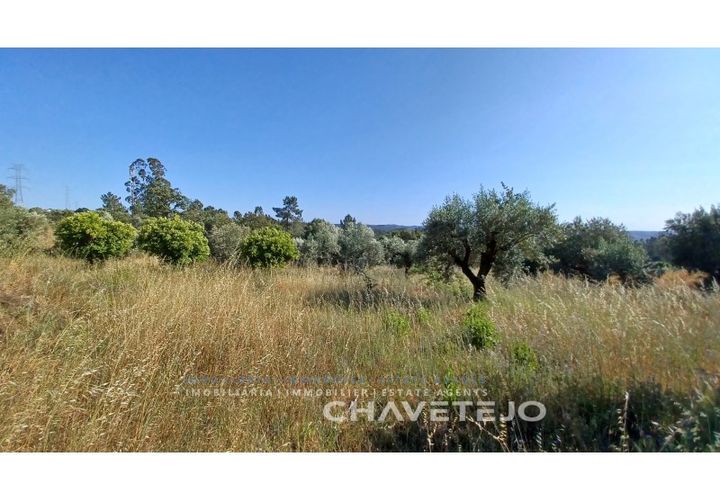Terra a Tomar, Santarem, Tomar - € 50.000 | Ref: 608/23 - foto 1