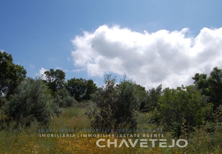 Terra a Tomar, Santarem, Tomar - € 7.000 | Ref: 614/22 - foto 1