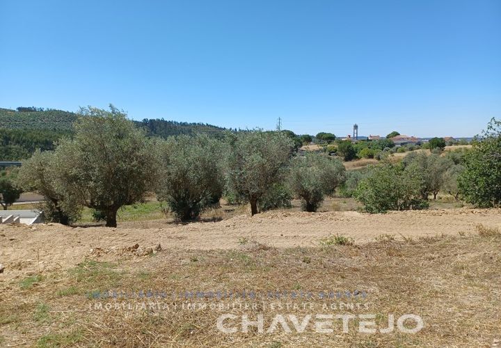 Tomt i Tomar, Santarem, Tomar - € 40 000 | Ref: 626/22 - foto 1