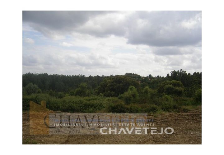 Grond in Tomar, Santarem, Tomar - € 50.000 | Ref: 627/18 - foto 1
