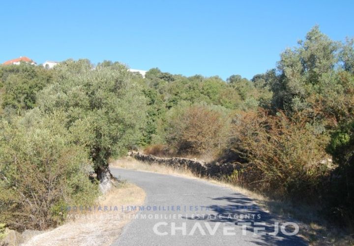 Helårsgrund i Tomar, Santarem, Tomar - € 25.000 | Ref: 618/18 - foto 1