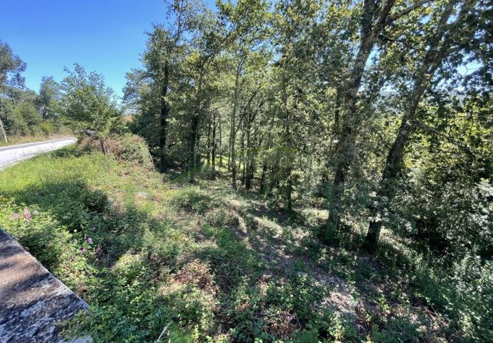 Tomt i Venade e Azevedo, Viana do Castelo, Venade e Azevedo - € 36 000 | Ref: B2964 - foto 1