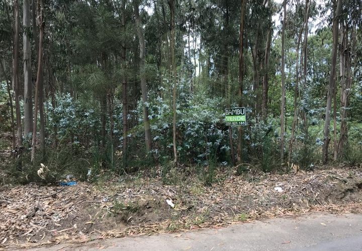 Helårsgrund i Valenca, Viana do Castelo, Valenca - € 29.000 | Ref: B2432 - foto 1