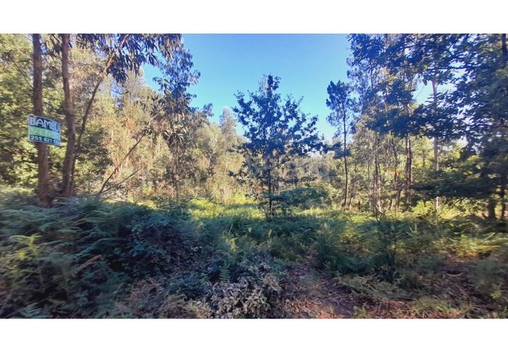 Terra a Gandra e Taiao, Viana do Castelo, Gandra e Taiao - € 25.000 | Ref: B2822 - foto 1