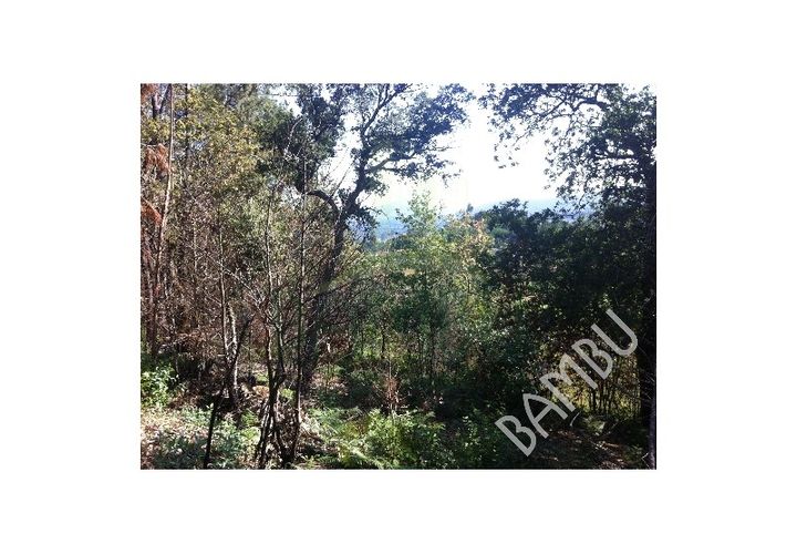 Helårsgrund i Venade e Azevedo, Viana do Castelo, Venade e Azevedo - € 50.000 | Ref: B1019 - foto 1