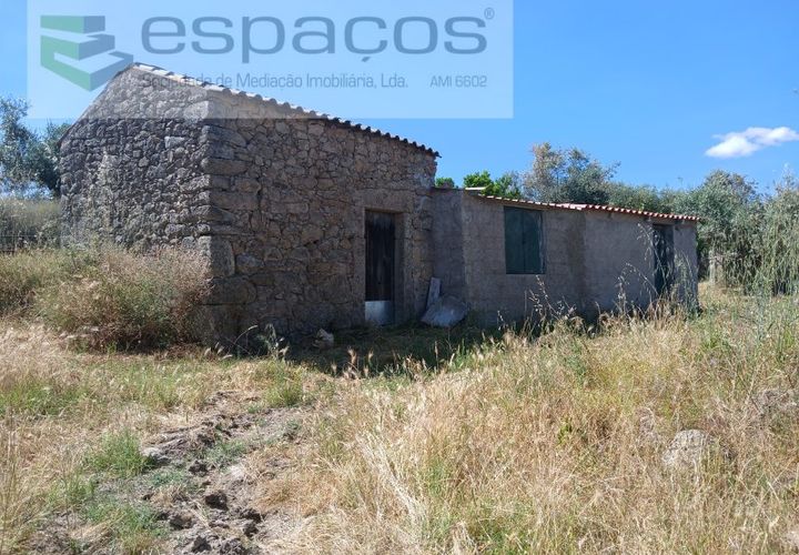 Farm i Castelo Branco, Castelo Branco, Castelo Branco - € 31.000 | Ref: 3792/RR-EM - foto 1