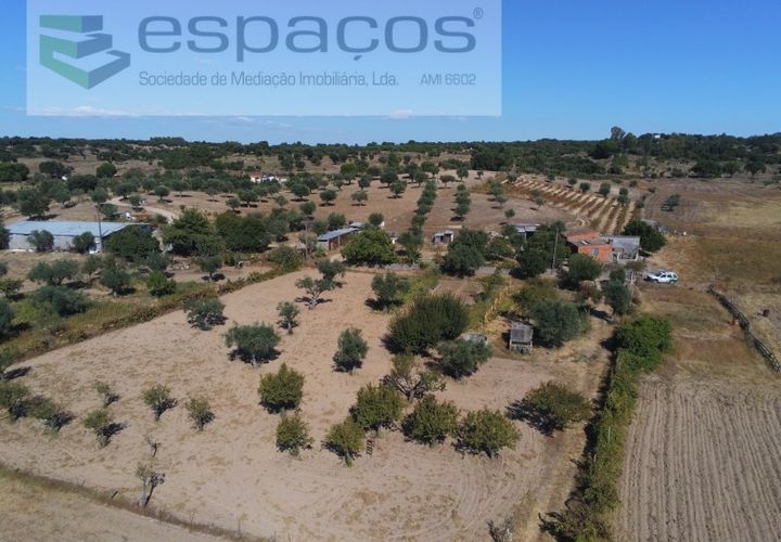 Farm i Castelo Branco, Castelo Branco, Castelo Branco - € 106.500 | Ref: 4383/RR-EM - foto 1