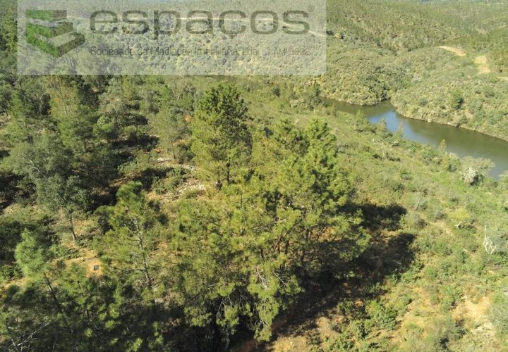 Helårsgrund i Castelo Branco, Castelo Branco, Castelo Branco - € 12.750 | Ref: 3770/MR - foto 1