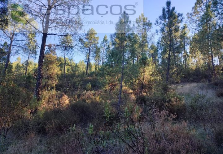 Terreno en Castelo Branco, Castelo Branco, Castelo Branco - € 5.750 | Ref: 4452/AC - photo 1