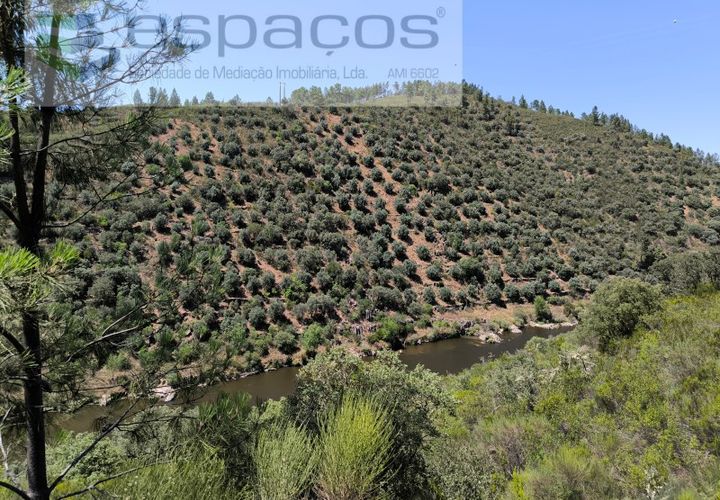 Helårsgrund i Castelo Branco, Castelo Branco, Castelo Branco - € 14.000 | Ref: 3845/EG - foto 1