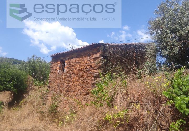 Terra a Proenca-a-Nova, Castelo Branco, Proenca-a-Nova - € 19.000 | Ref: 5605/MR - foto 1