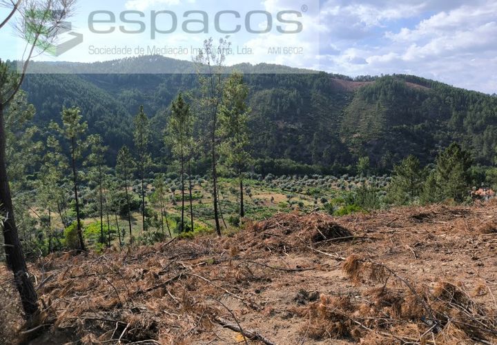 Helårsgrund i Castelo Branco, Castelo Branco, Castelo Branco - € 12.500 | Ref: 3842/EG - foto 1