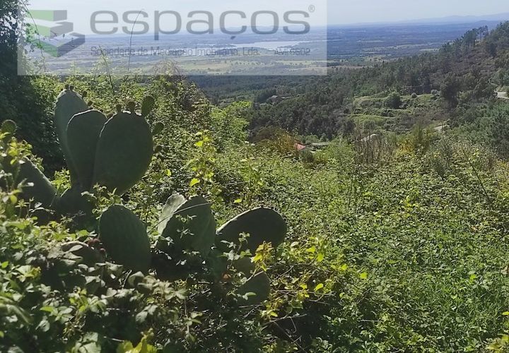 Helårsgrund i Castelo Branco, Castelo Branco, Castelo Branco - € 20.000 | Ref: 3824/MR - foto 1