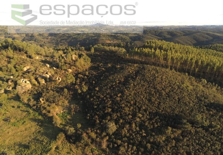 Helårsgrund i Castelo Branco, Castelo Branco, Castelo Branco - € 11.500 | Ref: 3758/EG - foto 1