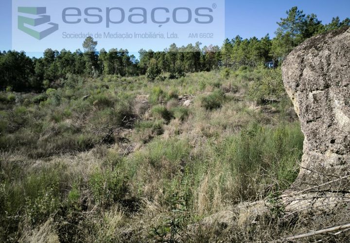 Helårsgrund i Castelo Branco, Castelo Branco, Castelo Branco - € 12.000 | Ref: 3857/EG - foto 1