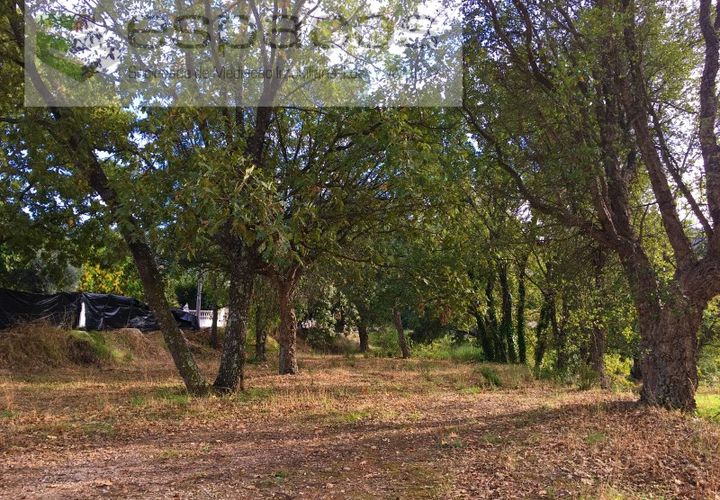 Terra a Fundao, Castelo Branco, Fundao - € 210.000 | Ref: 4642/GA - foto 1