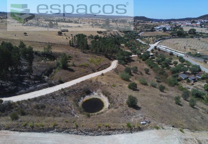 Terra a Santana, Portalegre, Santana - € 16.500 | Ref: 4482/EG - foto 1