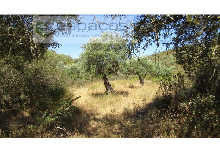 Helårsgrund i Perais, Castelo Branco, Perais - € 7.500 | Ref: 5021/RR_EM - foto 1