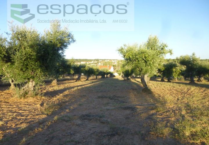 Helårsgrund i Castelo Branco, Castelo Branco, Castelo Branco - € 55.000 | Ref: 5303/EG - foto 1