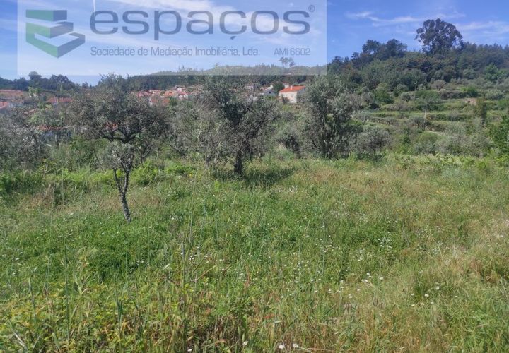 Helårsgrund i Castelo Branco, Castelo Branco, Castelo Branco - € 20.000 | Ref: 3825/MR - foto 1