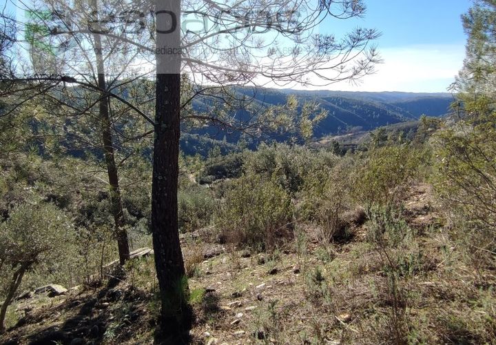 Helårsgrund i Castelo Branco, Castelo Branco, Castelo Branco - € 7.000 | Ref: 3783/EG - foto 1