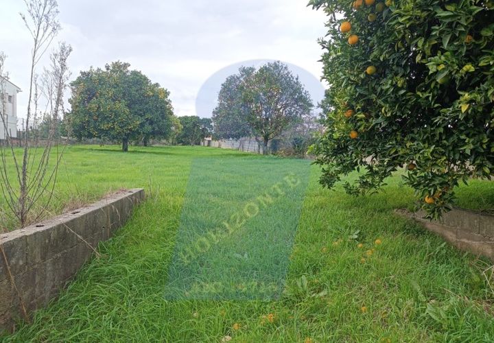 Helårsgrund i Anadia, Aveiro, Anadia - € 41.000 | Ref: TER_1114 - foto 1