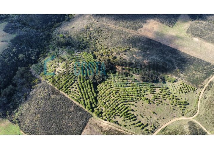Helårsgrund i Sagres, Faro, Sagres - € 79.000 | Ref: CP-T2445 - foto 1