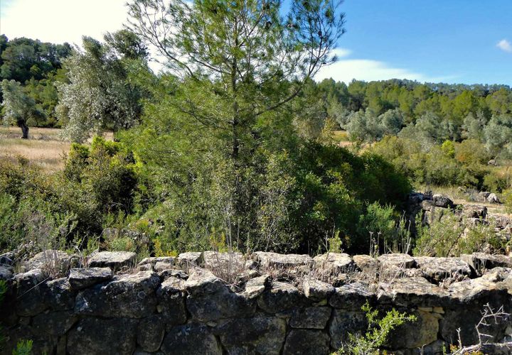 Finca a Calaceite, Teruel, Calaceite - € 39.000 | Ref: 0940 - foto 1