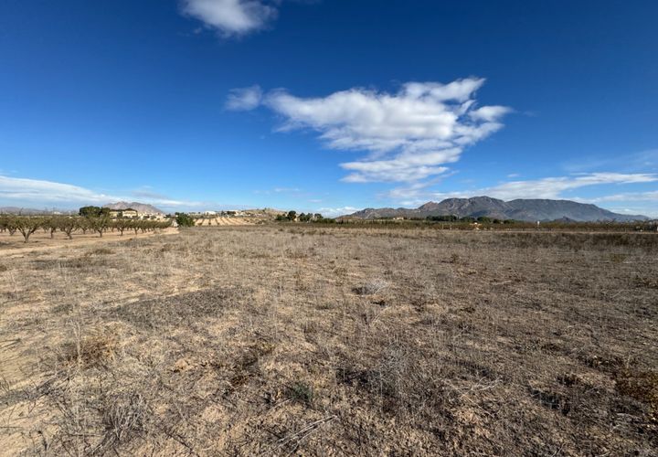 Terra a Ricote, Murcia, Ricote - € 29.000 | Ref: 2347 - foto 1
