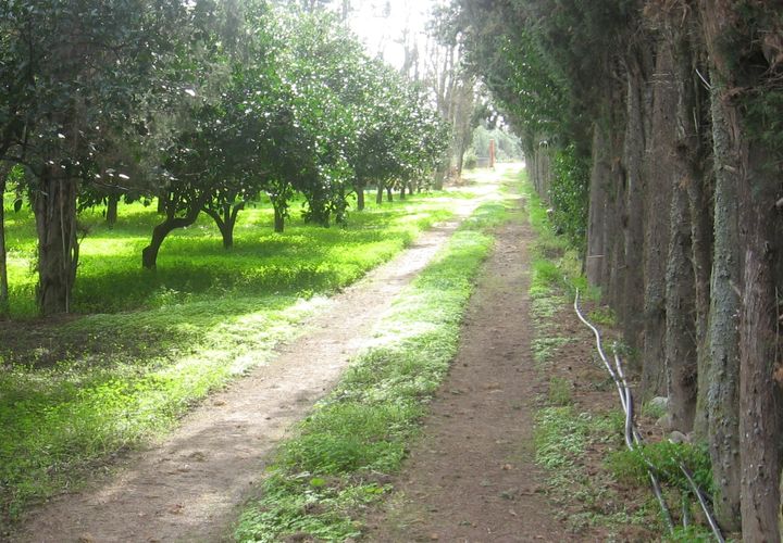 Erhvervsejendom i Monastir, Sud Sardegna, Monastir - € 60.000 | Ref: MON134 - foto 1